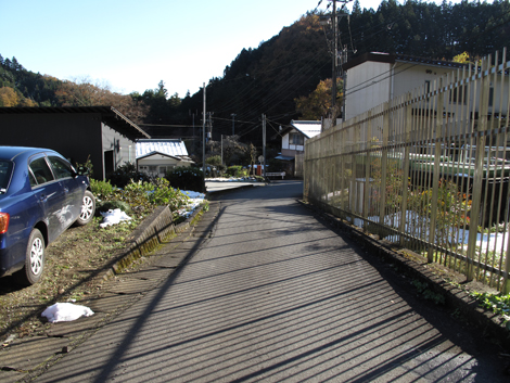20161125hike (328)